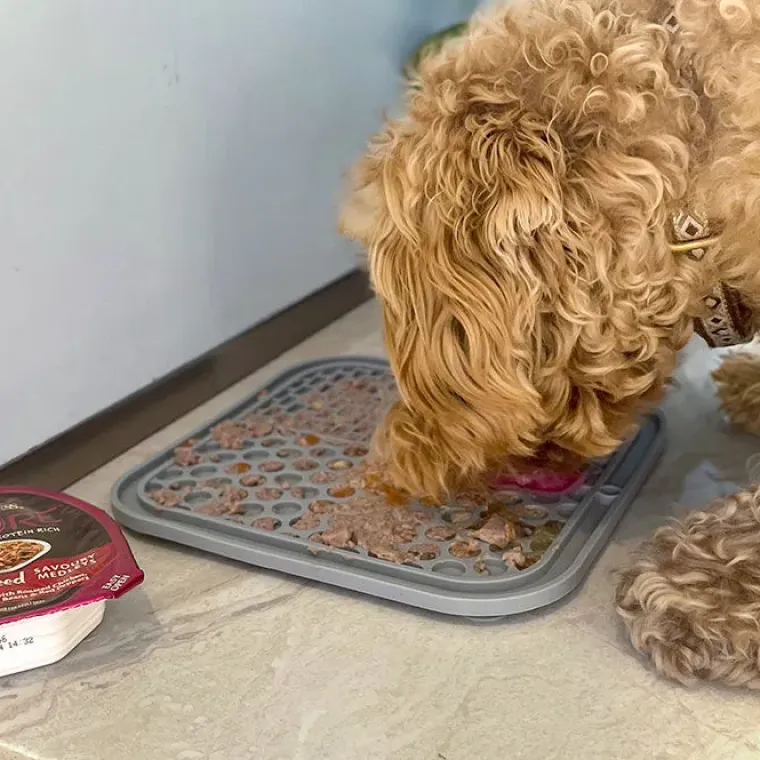 Hundemad^Wellness CORE CORE Savoury Medleys | Vådfoder Paté