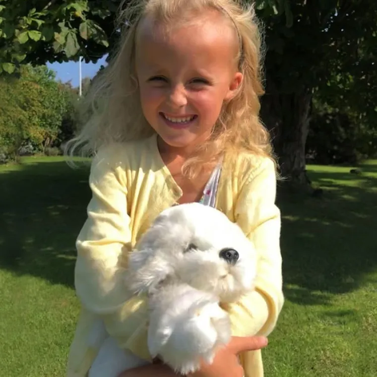 Gaveidéer Til Hundeelskeren|Hundebamser Til Pynt^Cotonshoppen Coton de Tulear /Bichon Frise bamse/Ollie