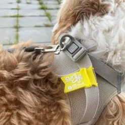 Uønsket Adfærd|Hundetræning Og Klikker^Curli "Hold Afstand" Tag