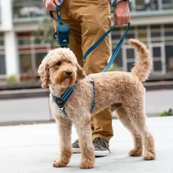 Hundeseler|Bestsellers^Dog Copenhagen Comfort Walk Air™ selen | Step in