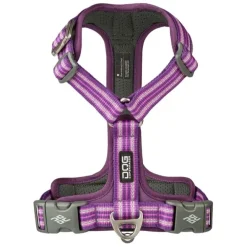 Hundeseler|Bestsellers^Dog Copenhagen Comfort Walk Air™ selen | Step in