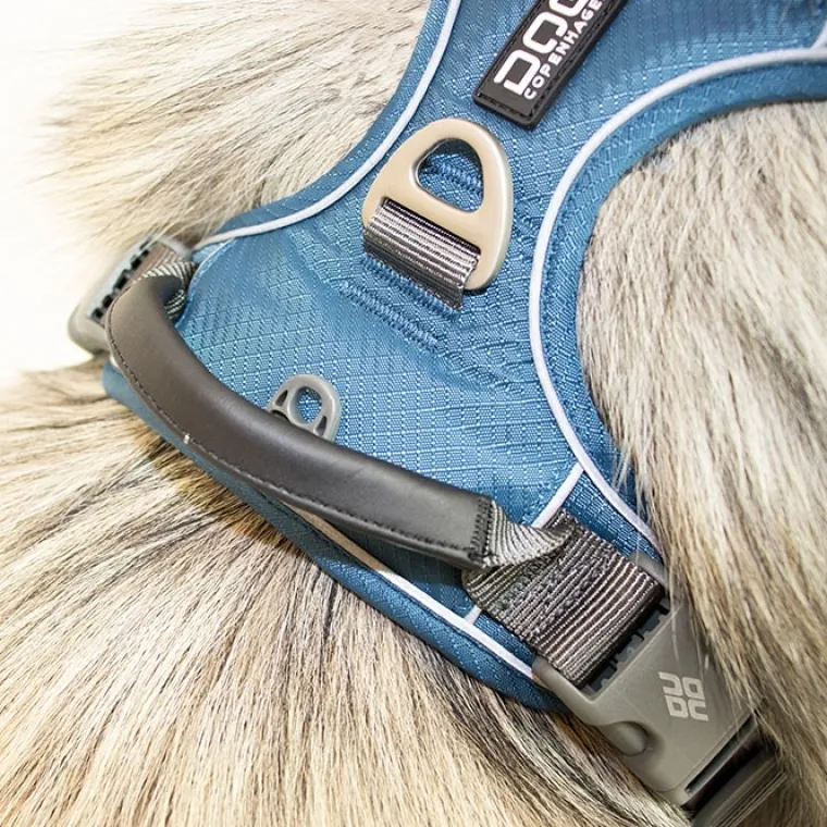 Hundeseler|Bestsellers^Dog Copenhagen Comfort Walk Pro hundesele
