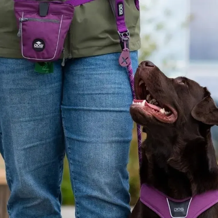 Hundeposer Og Holdere|Hundesnor^Dog Copenhagen Flexy™ Hundeposeholder