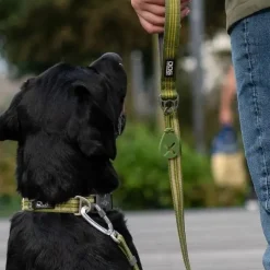 Hundeposer Og Holdere|Hundesnor^Dog Copenhagen Flexy™ Hundeposeholder