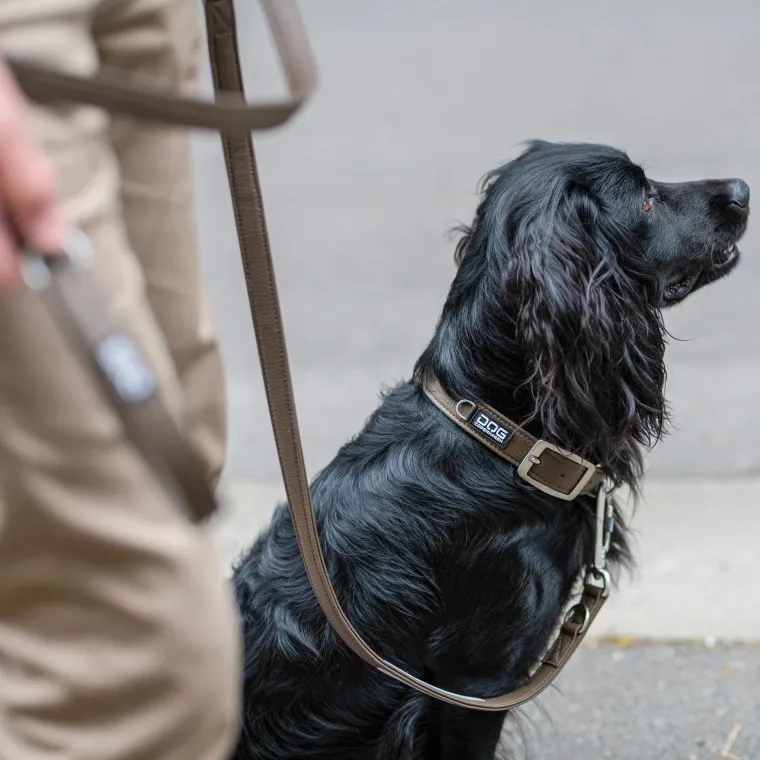Hundehalsbånd^Dog Copenhagen Urban Classic™ Hundehalsbånd