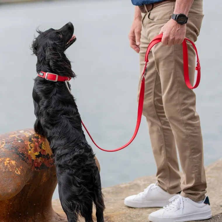 Hundehalsbånd^Dog Copenhagen Urban Classic™ Hundehalsbånd