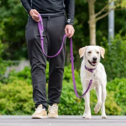 Hundesnor^Dog Copenhagen Urban Classic™ Hundesnor