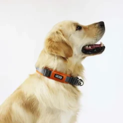 Hundehalsbånd^Dog Copenhagen Urban Explorer halsbånd | 2.0 Collar Mocca