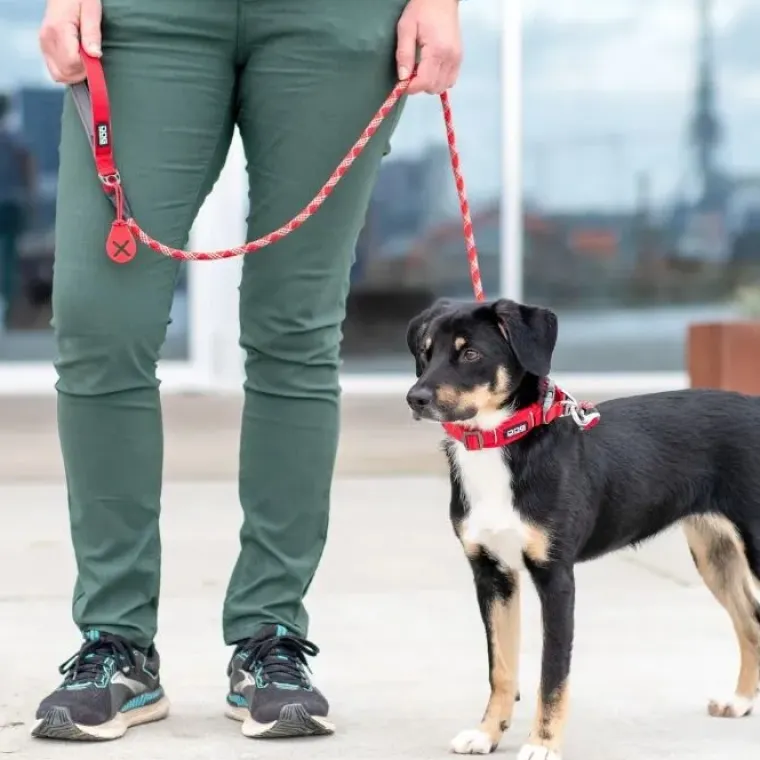Hundesnor^Dog Copenhagen Urban Rope Leash