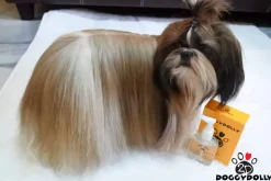 Pelspleje|Shampoo, Balsam Og Pleje Til Katte^DoggyDolly Silk coat | 85 ml