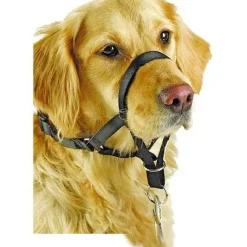 Hundeseler^Pawise Dog Head Collar | Snudesele