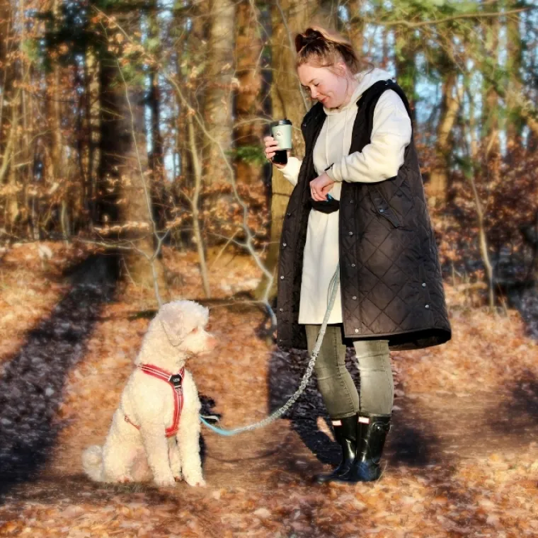 Hundetræning Og Klikker|Løbeturen^DogLemi Løbeline med bælte