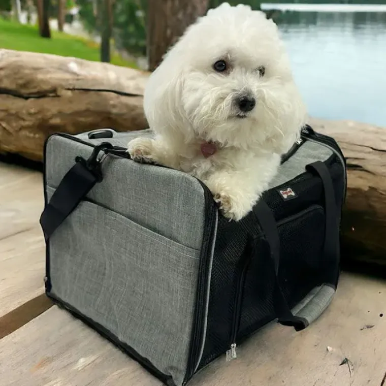 Transporttasker Til Hunde|Flytasker^DogLemi Rejsetaske | på hjul