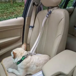 Hundeseler|Biltransport Af Hund^DogLemi Sikkerhedssele til bilkørsel
