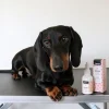 Pelspleje|Mund-, Øre- Og Øjenpleje^Dogman Øjenrens 50ml