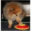 Aktivitetslegetøj Til Hunde^Nina Ottosson Dog Treat Maze | Aktivitets legetøj