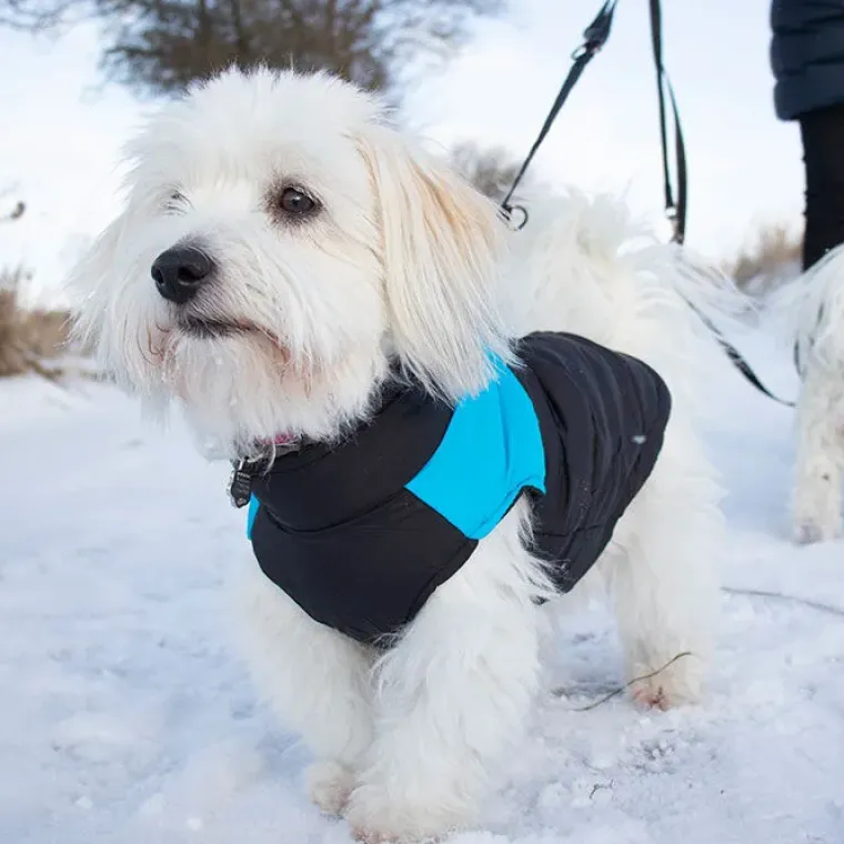 Hvalpetøj|Efterårsklar^FashionDoggy Dynevest Hundedækken | Quiltet