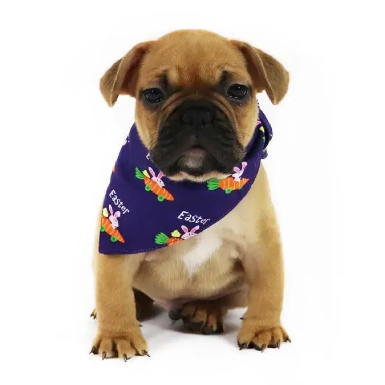 Påskekurven^Ollipet Easter Dog Bandana