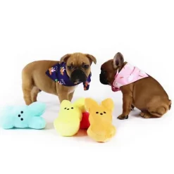 Påskekurven^Ollipet Easter Dog Bandana