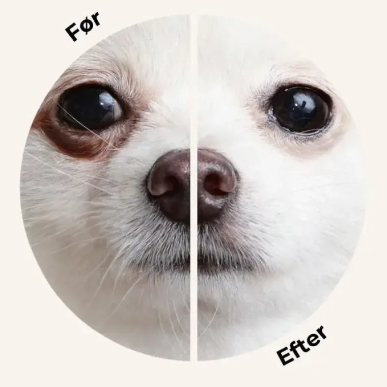 Grooming Powder^Eye Envy Powder