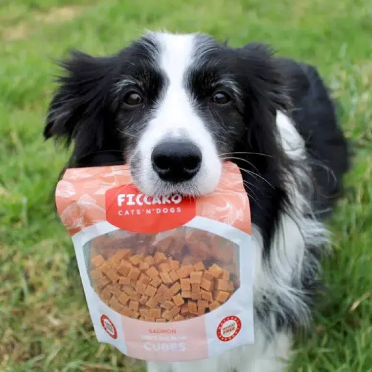 Hvalpegodbidder Og Gnaveben|Godbidder Og Gnaveben^Ficcaro Soft Salmon Cubes | 100g