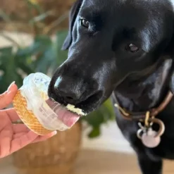 Godbidder Og Gnaveben^Fidovet Yogurt