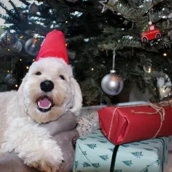 Julekurven^Ollipet Formfast Nissehue til hunde