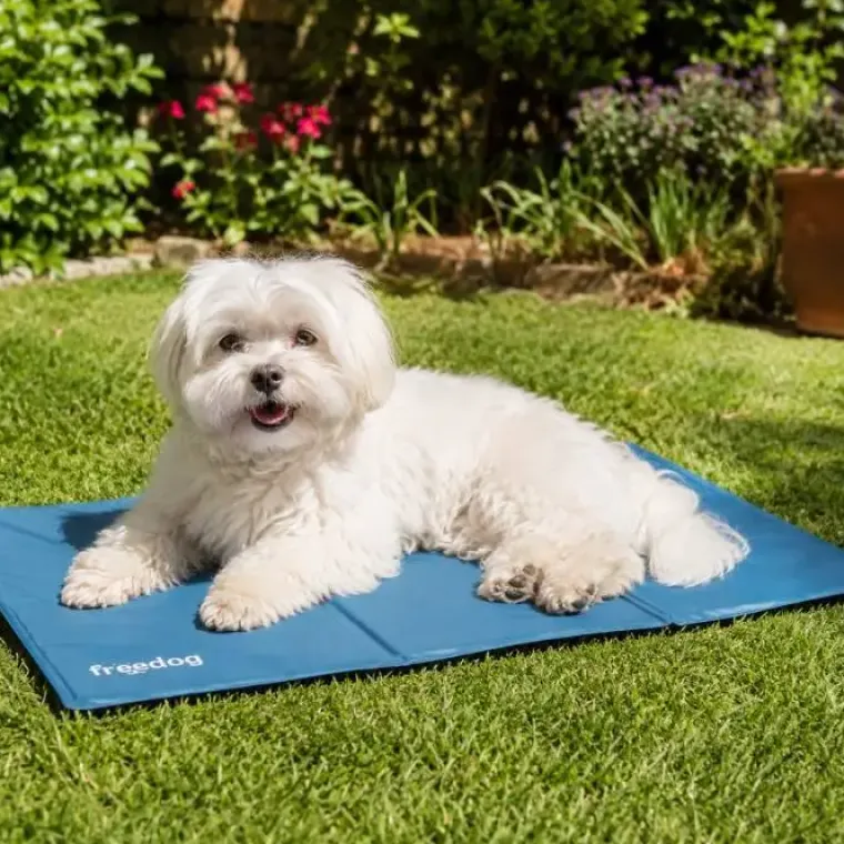 ☀️Sommerklar|Hundeferien^Freedog Hygge Series kølemåtte