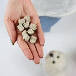 Godbidder Og Gnaveben^Dogman Frysetørret Snacks med Okse | 50g