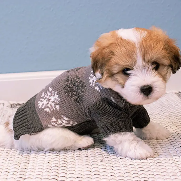 Julekurven|Hundetøj^Cotonshoppen Grå hundesweater med snefnug
