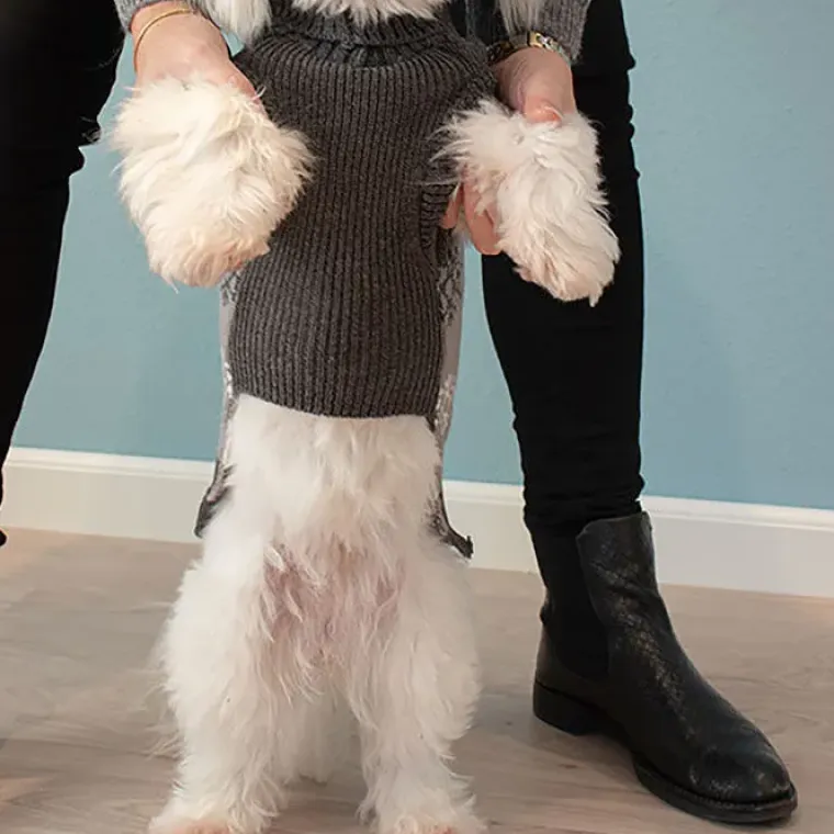Julekurven|Hundetøj^Cotonshoppen Grå hundesweater med snefnug