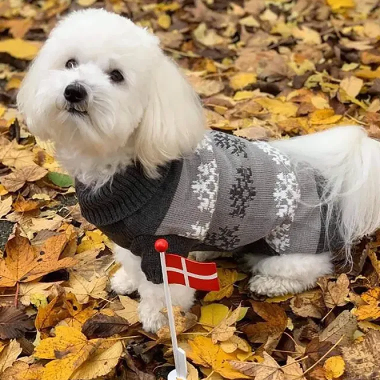 Julekurven|Hundetøj^Cotonshoppen Grå hundesweater med snefnug