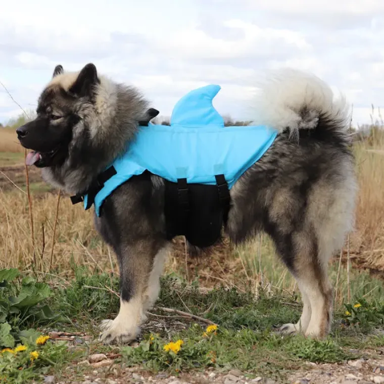 ☀️Sommerklar|Hundeferien^Ollipet Haj redningsvest