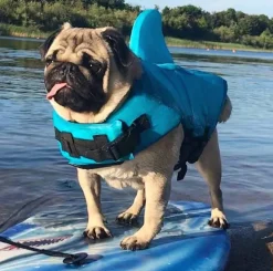 ☀️Sommerklar|Hundeferien^Ollipet Haj redningsvest