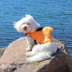 ☀️Sommerklar|Hundeferien^Ollipet Haj redningsvest