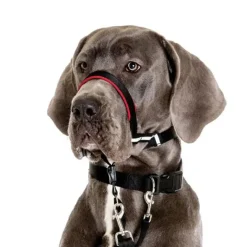 Hundeseler^Halti OptiFit snudesele