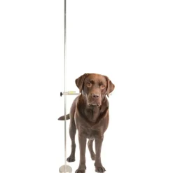 Showliner, Udstillingsliner Og Tilbehør|Artikler Til Hjemmet^Show Tech Højdemål til hunde | Justerbart