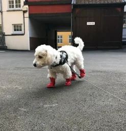 ❄️Klar Til Vintervejret|Efterårsklar^FashionDoggy Hundegummistøvler | 4 stk.