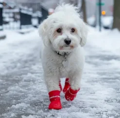 ❄️Klar Til Vintervejret|Efterårsklar^FashionDoggy Hundegummistøvler | 4 stk.