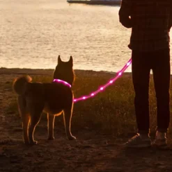 Løbeturen|Hundesnor^Cotonshoppen Hundesnor med LED-lys | Genopladelig