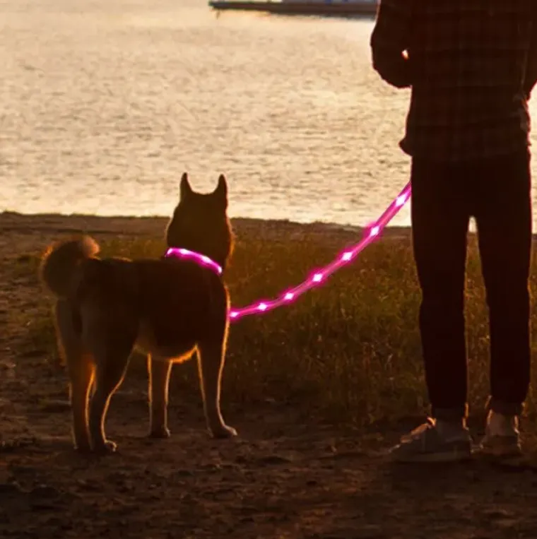 Løbeturen|Hundesnor^Cotonshoppen Hundesnor med LED-lys | Genopladelig