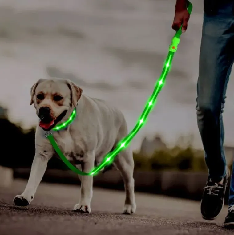 Løbeturen|Hundesnor^Cotonshoppen Hundesnor med LED-lys | Genopladelig
