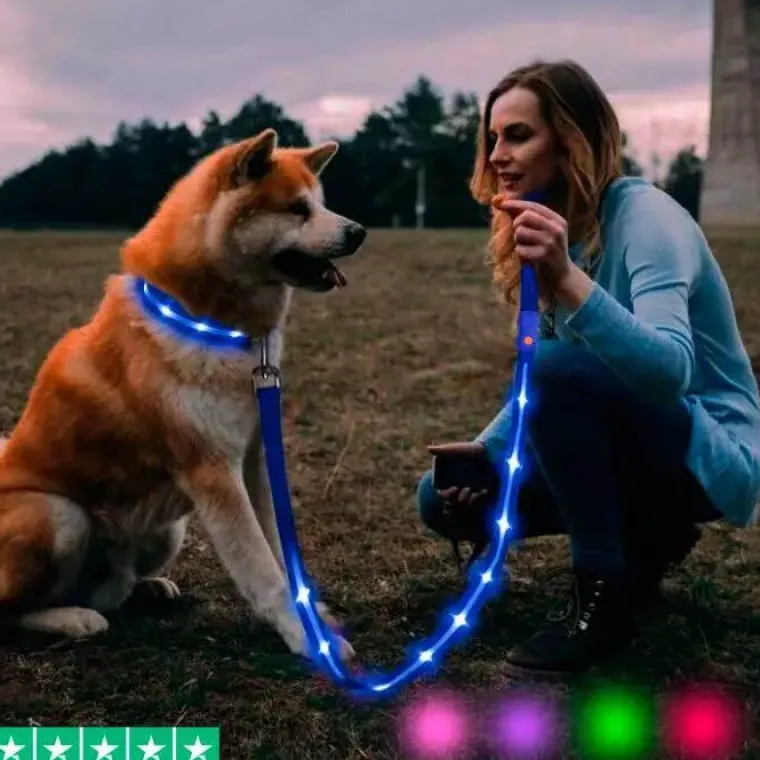 Løbeturen|Hundesnor^Cotonshoppen Hundesnor med LED-lys | Genopladelig