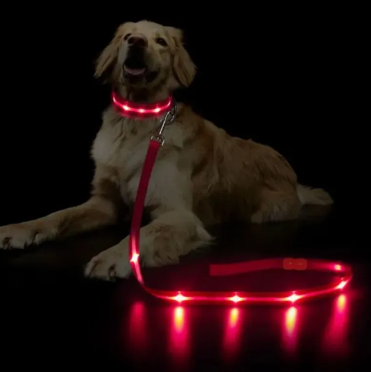 Løbeturen|Hundesnor^Cotonshoppen Hundesnor med LED-lys | Genopladelig
