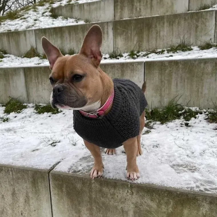 Hundetøj^Hunter Hundesweater Malmø 50 cm ryglængde | OUTLET Grå