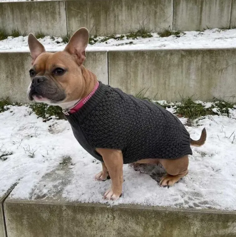 Hundetøj^Hunter Hundesweater Malmø 50 cm ryglængde | OUTLET Grå