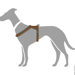 Hundeseler^Hunter London Comfort Sele | Sort