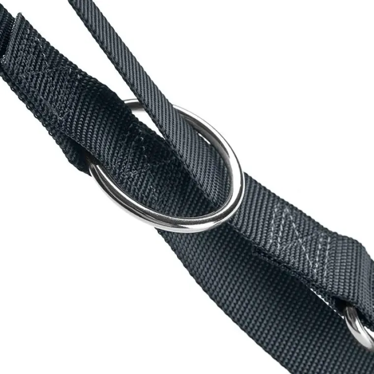 Hundesnor^Hunter London Dressurline