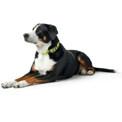 Hundehalsbånd^Hunter London Vario Plus Halsbånd