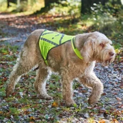 Efterårsklar|Løbeturen^Hunter Refleksvest til hund